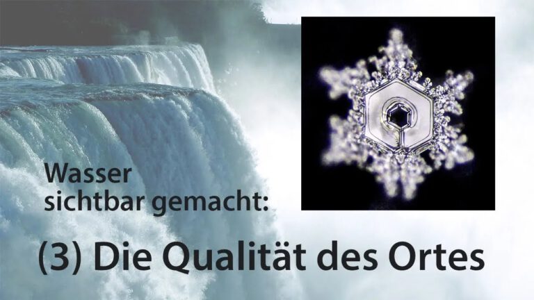 Die Qualität des Ortes, die Wirkung des Ortes auf unser Körpersystem, auf unser Körperwasser!